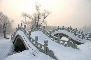 Bridge Ice Sculpture